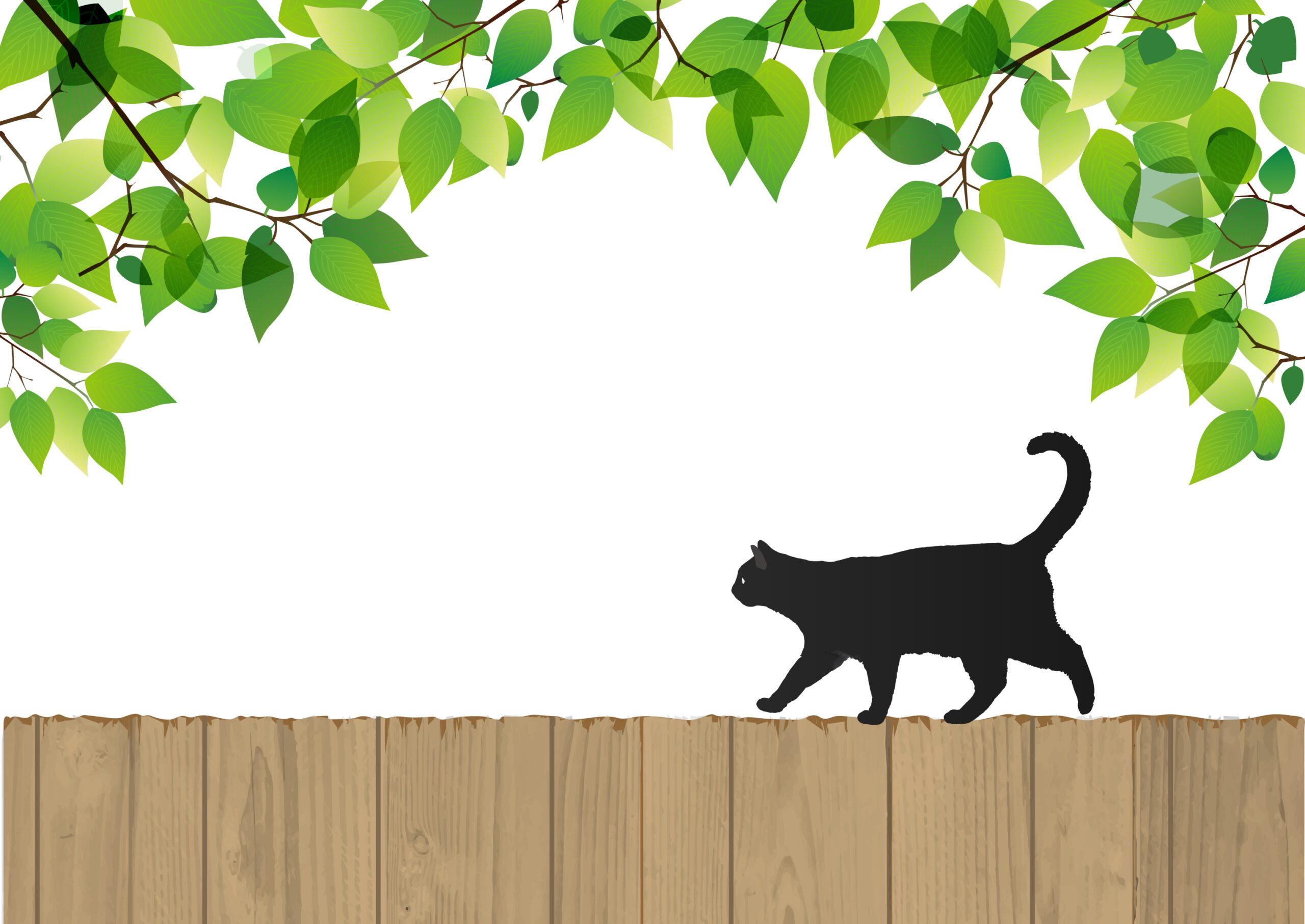 塀の上を歩く猫